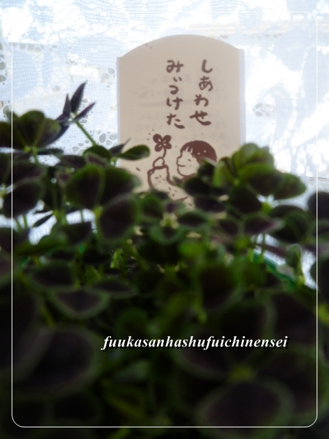 ふうかさんは主婦一年生-幸せみいつけた.jpg