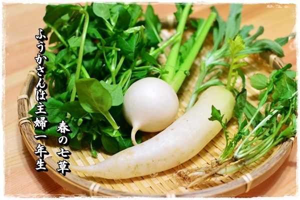 ふうかさんは主婦一年生