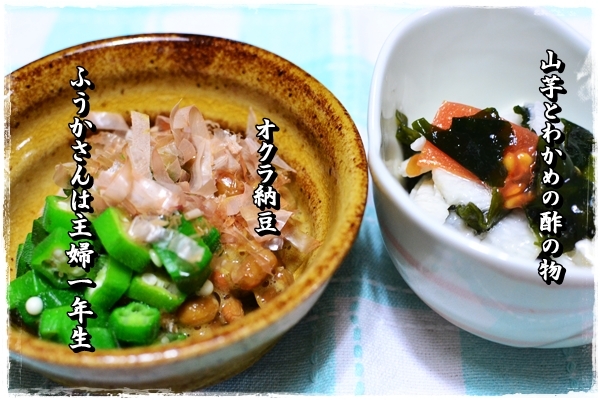 ふうかさんは主婦一年生