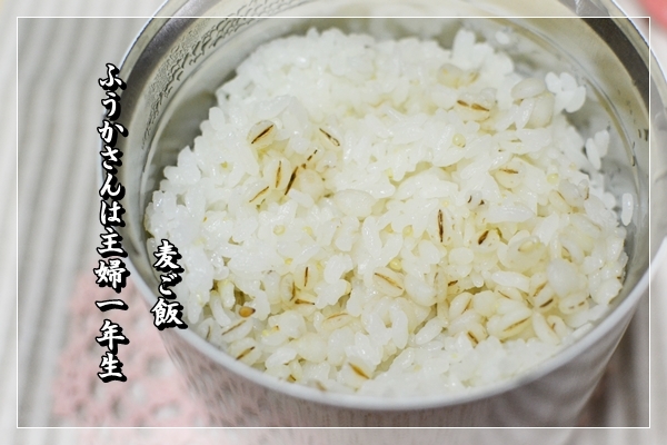 ふうかさんは主婦一年生