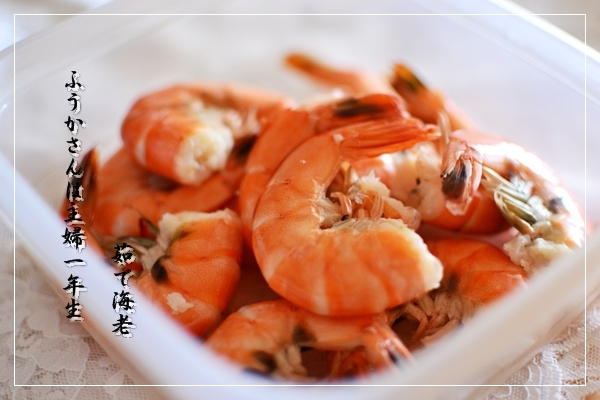 ふうかさんは主婦一年生