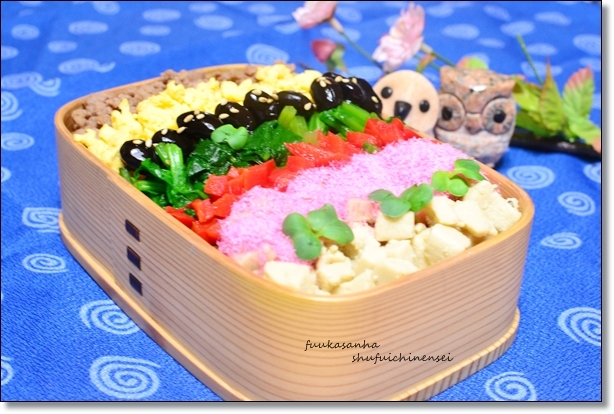 ふうかさんは主婦一年生