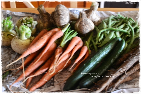 すてっぷ♪あっぷファミリー♪ふうかさんは主婦一年生