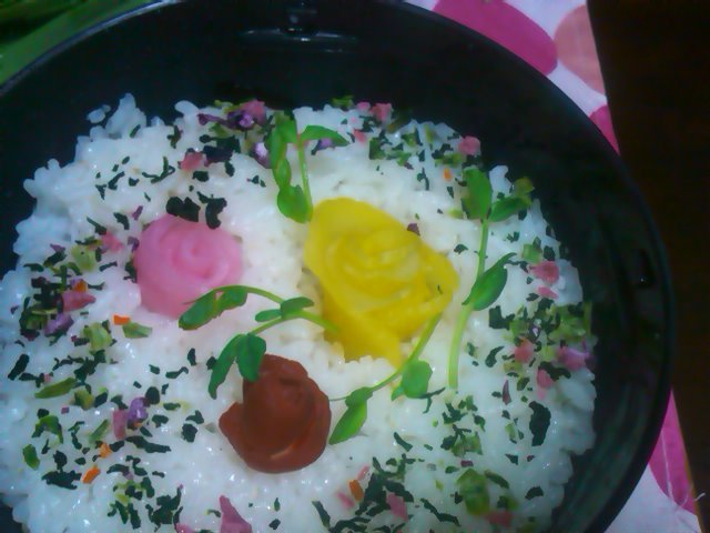ﾌｳｶさん家のお弁当-SN3L0596.jpg