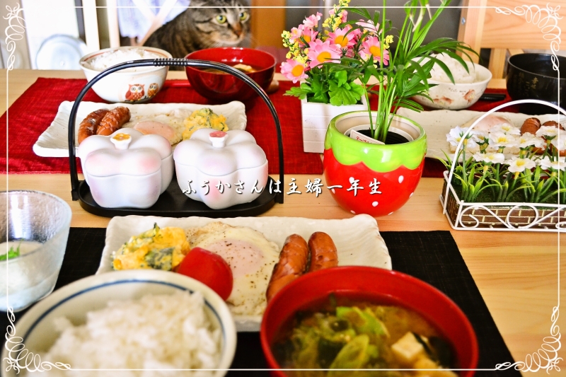 ふうかさんは主婦一年生