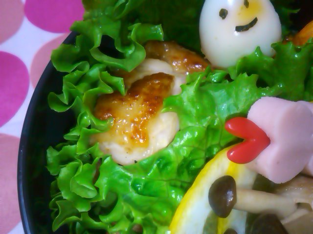 フウカさん家のお弁当-SN3L0448.jpg