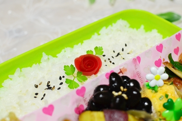 すてっぷ♪あっぷファミリー♪ふうかさんは主婦一年生
