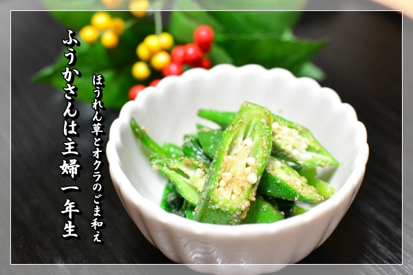 ふうかさんは主婦一年生