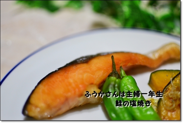 ふうかさんは主婦一年生