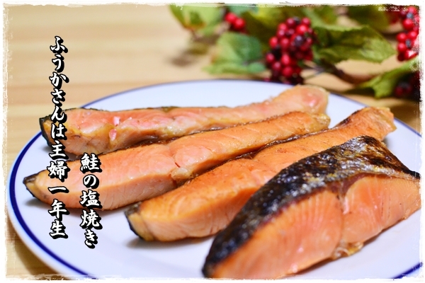 ふうかさんは主婦一年生