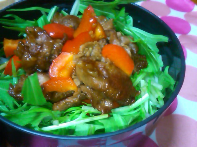 フウカさん家のお弁当-SN3L0527.jpg
