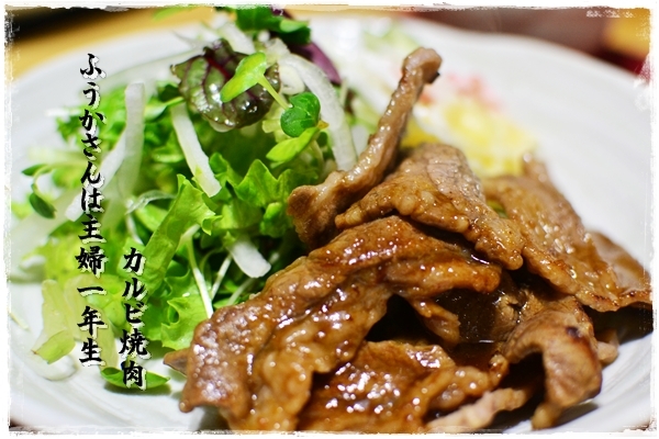 ふうかさんは主婦一年生