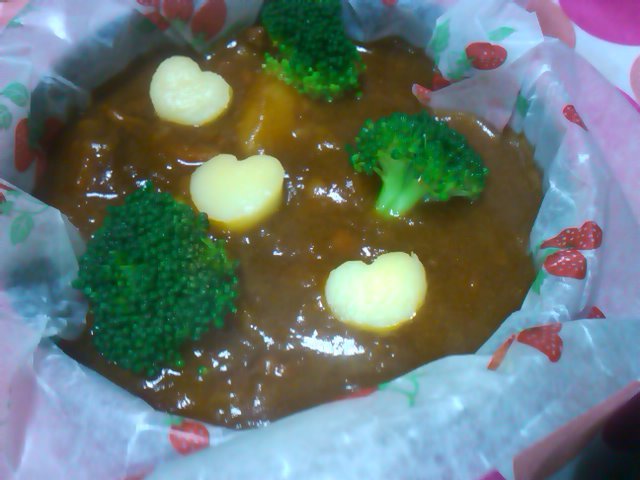 フウカさん家のお弁当-SN3L0492.jpg