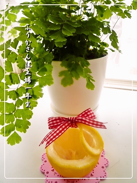 ふうかさんは主婦一年生-レモン縦.jpg