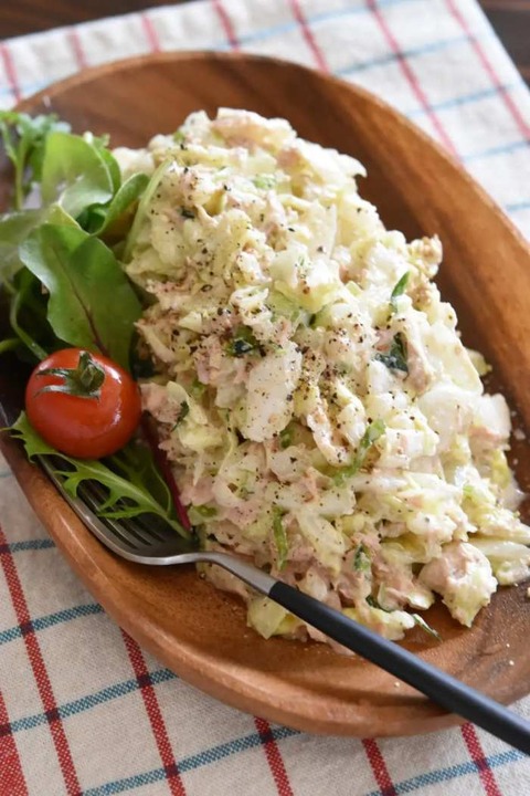 a0a6f0451058e19452d007235d13778c