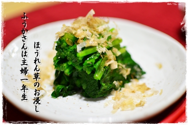 ふうかさんは主婦一年生