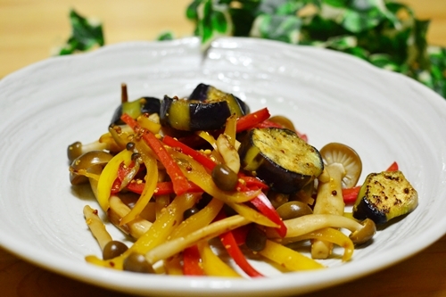 すてっぷ♪あっぷファミリー♪ふうかさんは主婦一年生