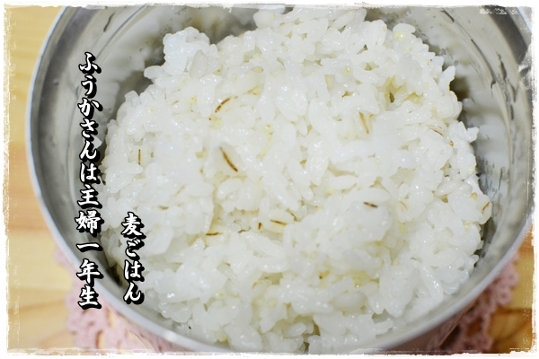 ふうかさんは主婦一年生