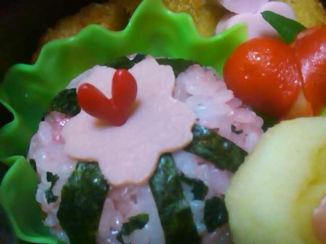 フウカさん家のお弁当-SN3L0380.jpg