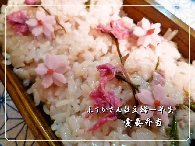 ふうかさんは主婦一年生-sakura.jpg