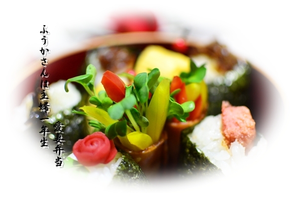 ふうかさんは主婦一年生