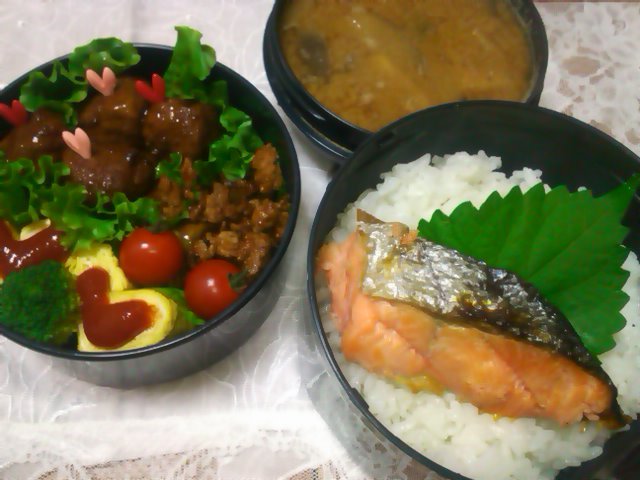 ﾌｳｶさん家のお弁当-SN3L0133.jpg