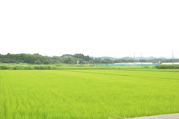 すてっぷ♪あっぷファミリー♪ふうかさんは主婦一年生