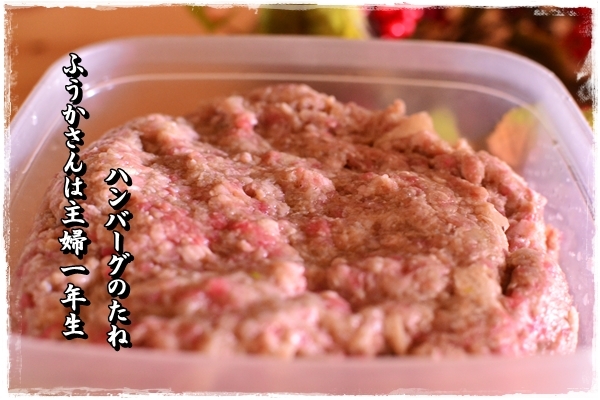 ふうかさんは主婦一年生