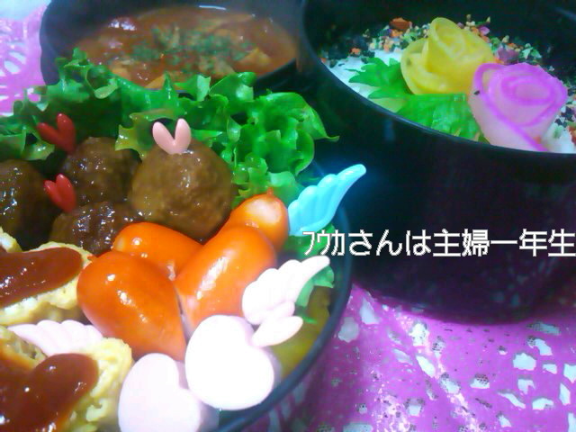 フウカさんは主婦一年生-SN3L0771.jpg
