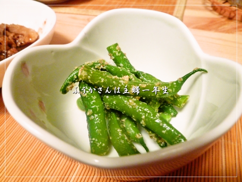 ふうかさんは主婦一年生