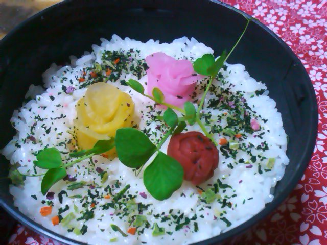 フウカさん家のお弁当-SN3L0486.jpg