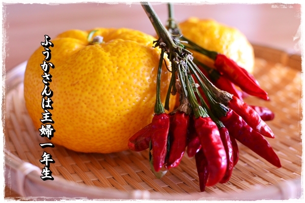 ふうかさんは主婦一年生