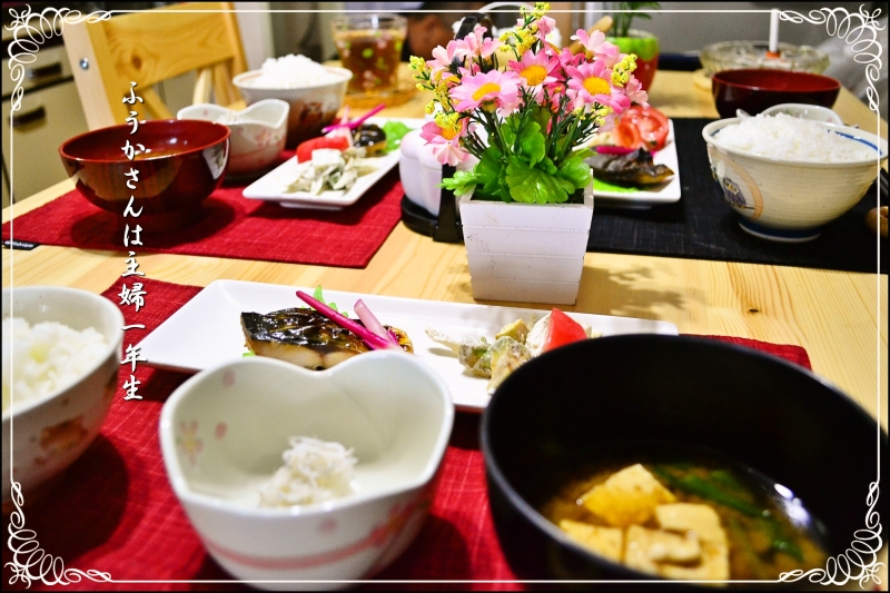 ふうかさんは主婦一年生