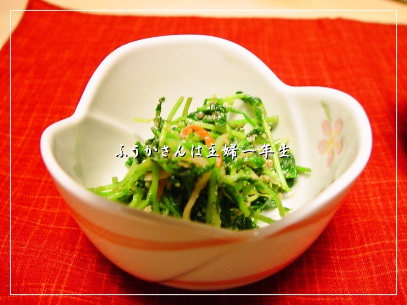 ふうかさんは主婦一年生