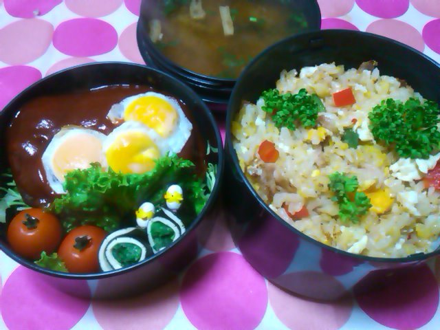 フウカさん家のお弁当-SN3L03730001.jpg