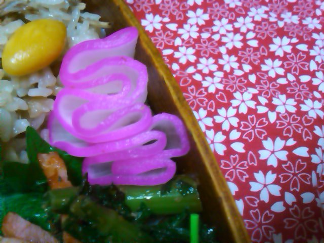 フウカさん家のお弁当-SN3L0518.jpg