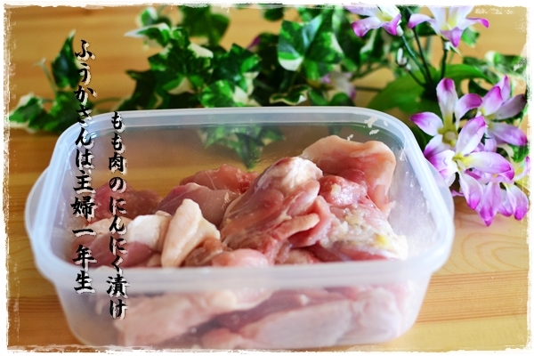 ふうかさんは主婦一年生