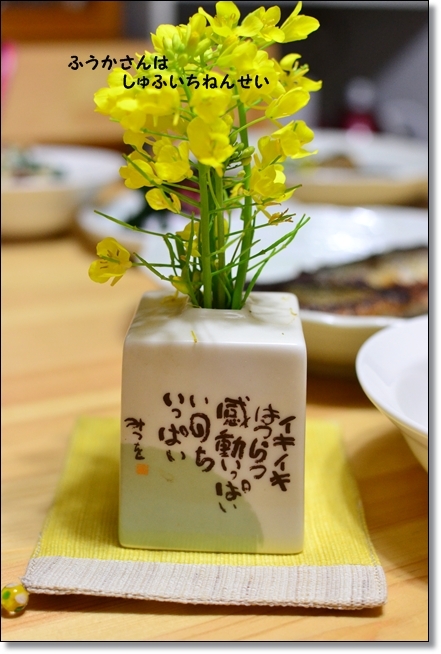 ふうかさんは主婦一年生