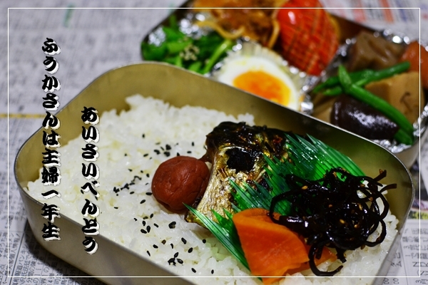 ふうかさんは主婦一年生