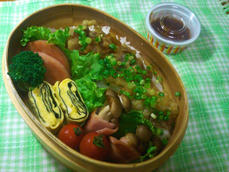フウカさん家のお弁当-SN3L0023.jpg