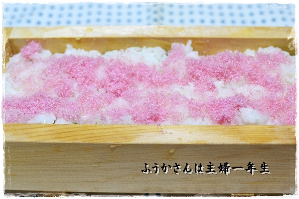 ふうかさんは主婦一年生