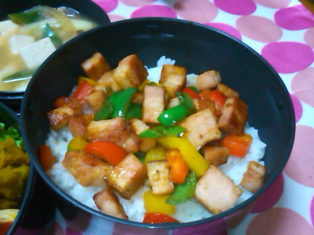 フウカさん家のお弁当-SN3L0503.jpg