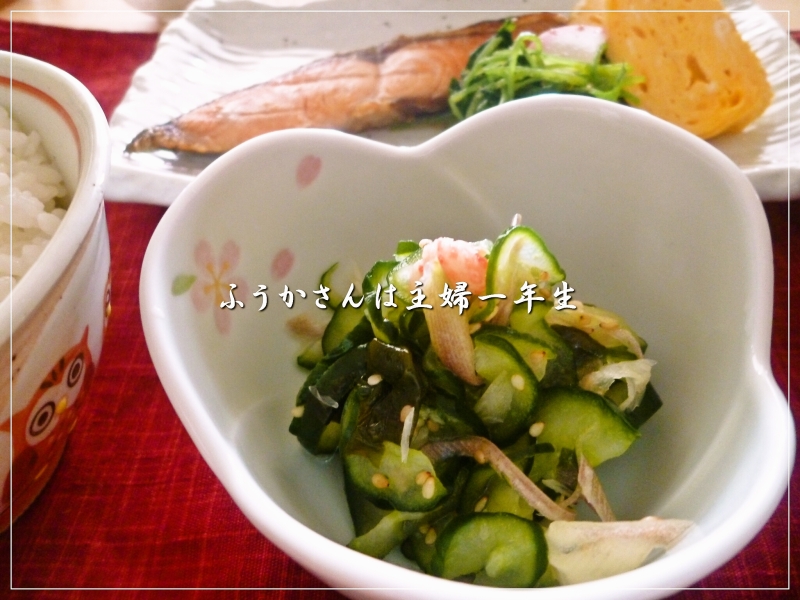 ふうかさんは主婦一年生