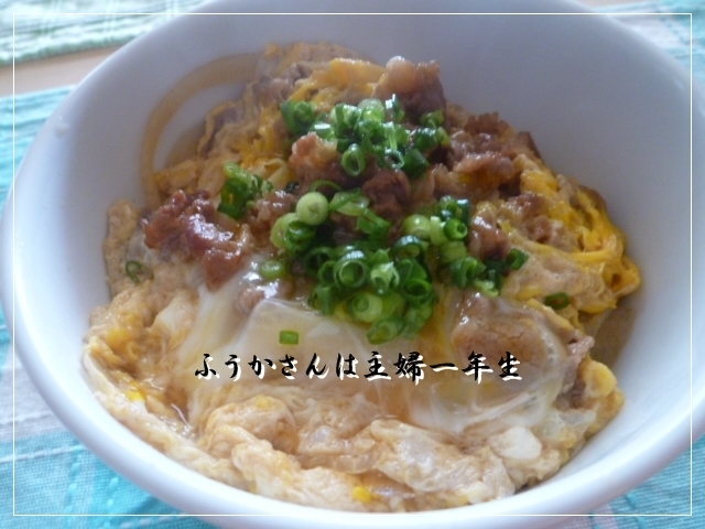 ふうかさんは主婦一年生-P1020874.jpg