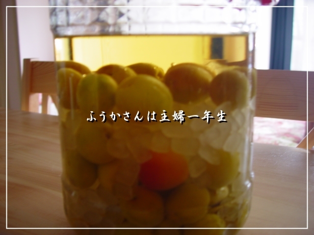 ふうかさんは主婦一年生