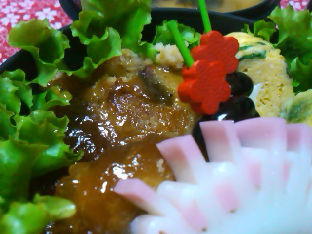 フウカさん家のお弁当-SN3L0488.jpg