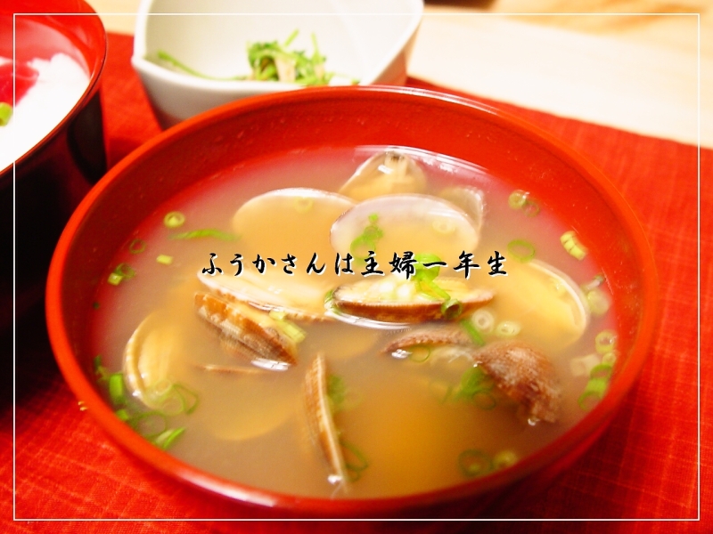 ふうかさんは主婦一年生