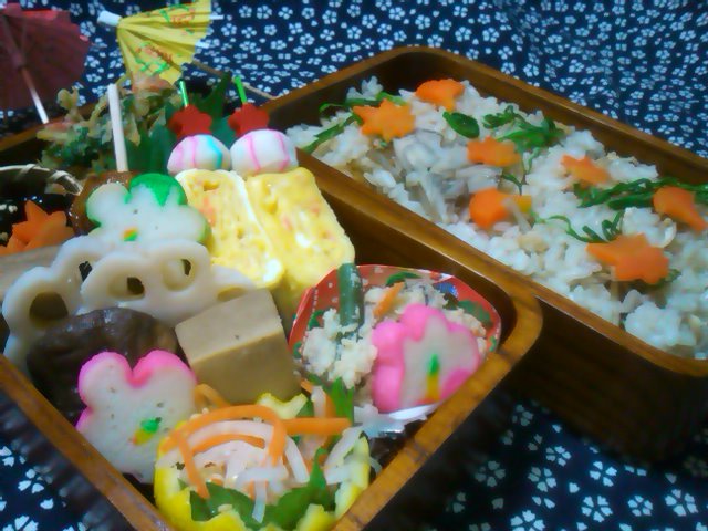 フウカさん家のお弁当-SN3L0475.jpg