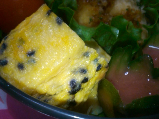 フウカさん家のお弁当-SN3L0529.jpg