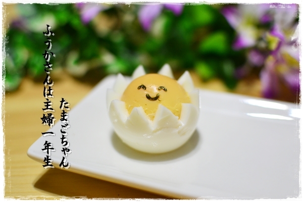 ふうかさんは主婦一年生